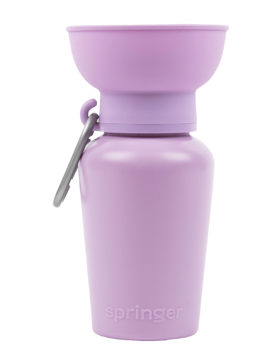 Springer® 20 ounce Flip Dog Travel Water Bottle