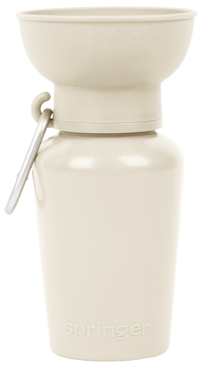 Springer® 20 ounce Flip Dog Travel Water Bottle