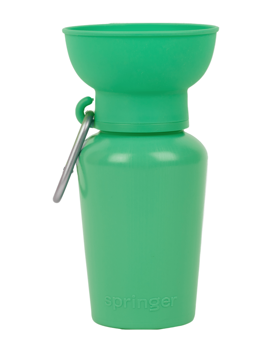 Springer® 20 ounce Flip Dog Travel Water Bottle