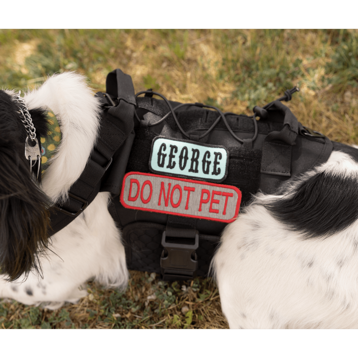 Custom K9 Mini Patch