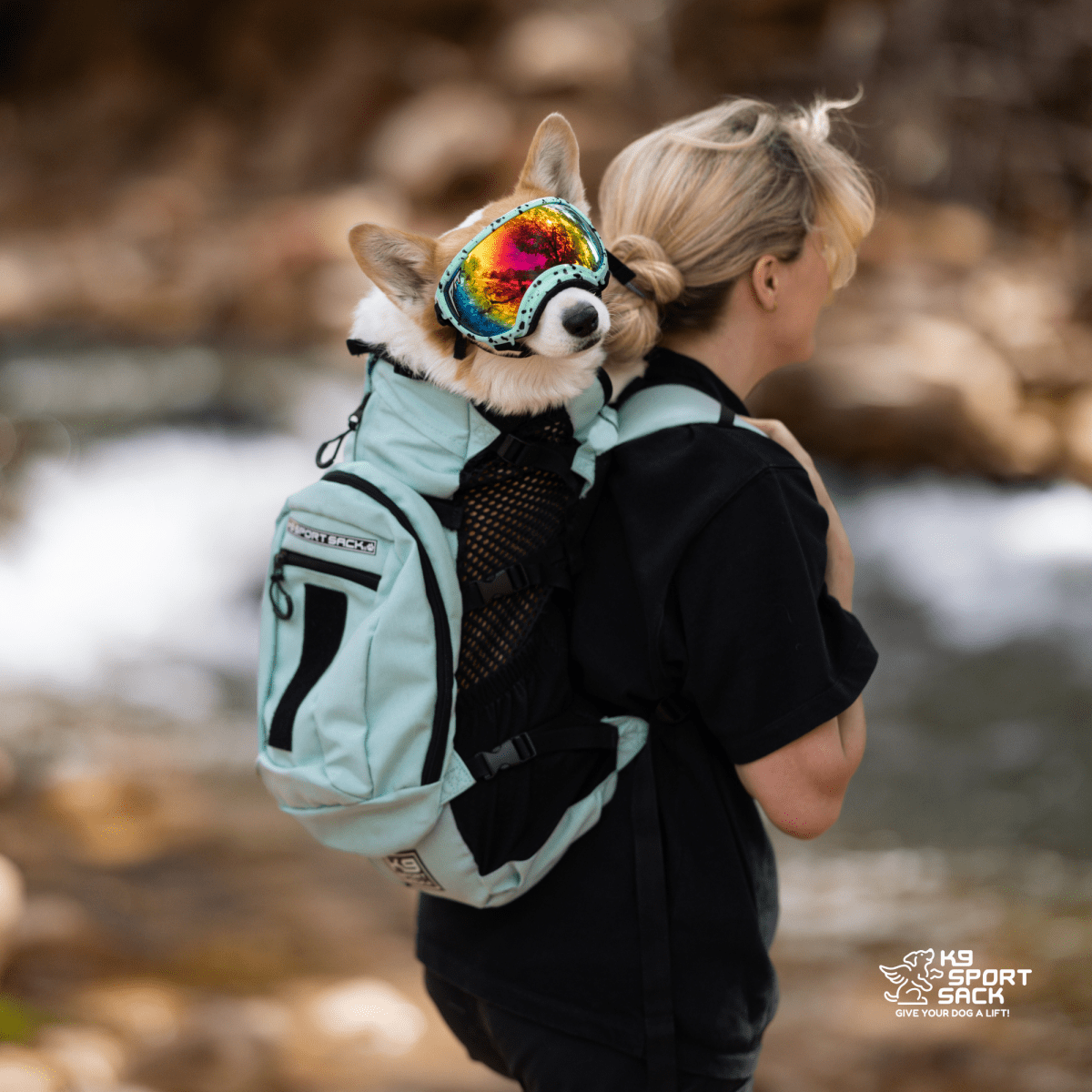 Plus 2 | Dog Carrier with Removable Storage