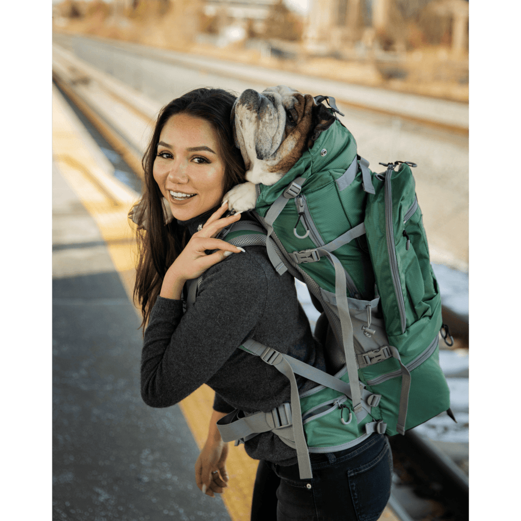 Klearance Kolossus | Big Dog Carrier & Backpacking Pack