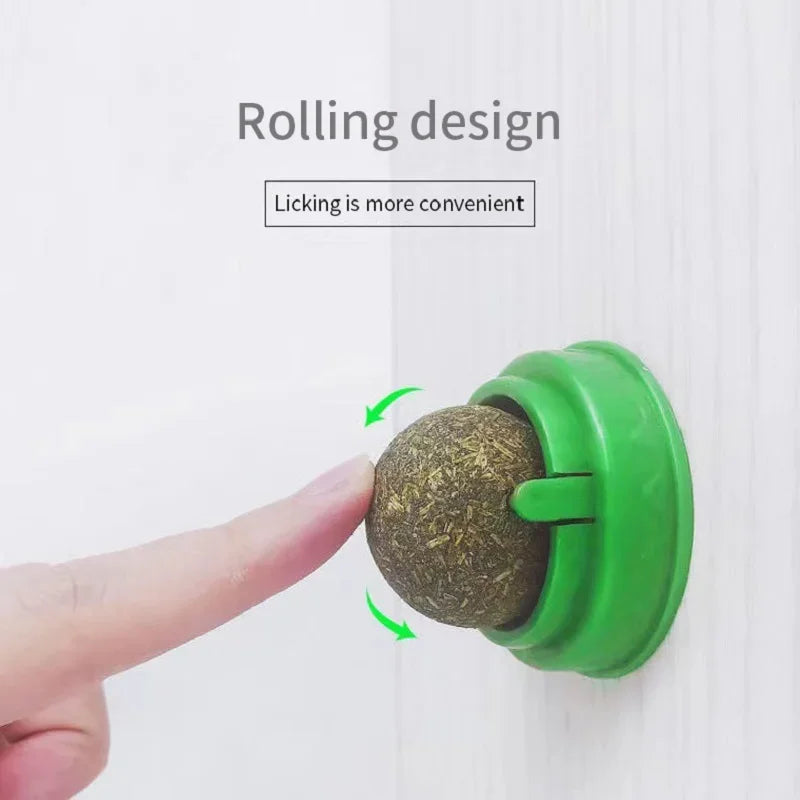 Natural Catnip Wall Scratcher & Treat Ball for Cats