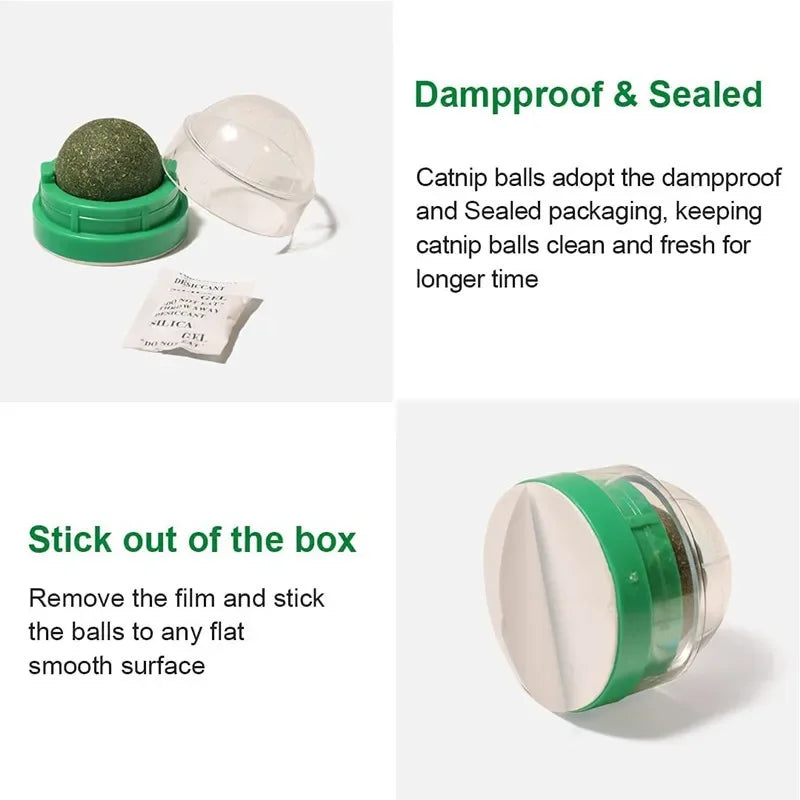 Natural Catnip Wall Scratcher & Treat Ball for Cats