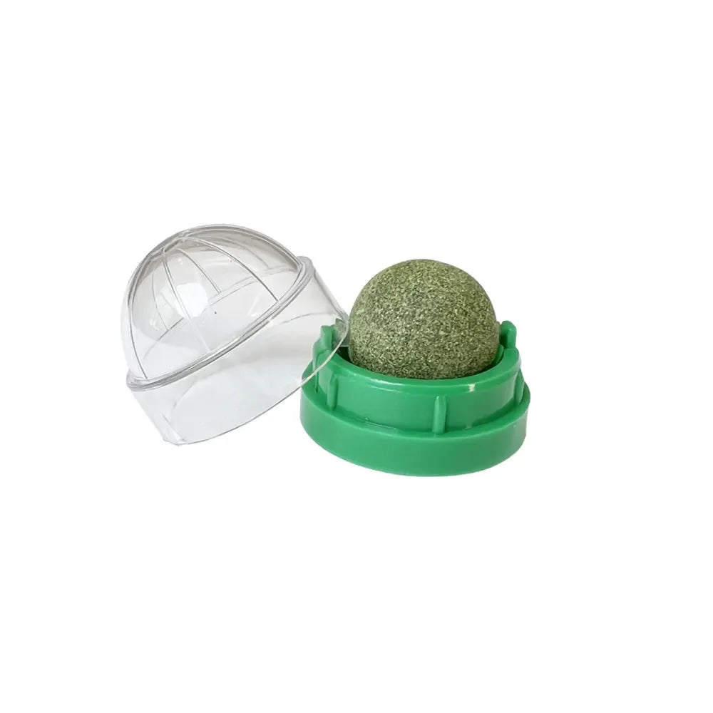 Natural Catnip Wall Scratcher & Treat Ball for Cats