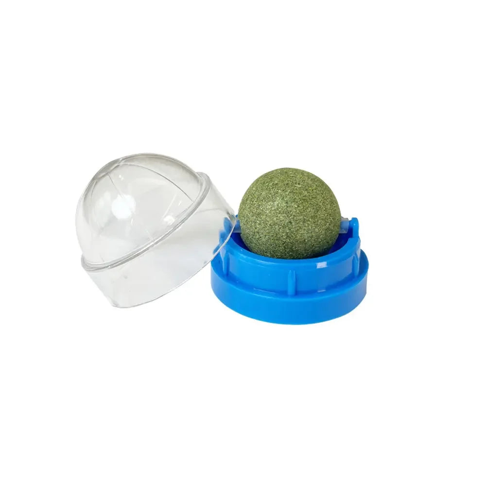Natural Catnip Wall Scratcher & Treat Ball for Cats