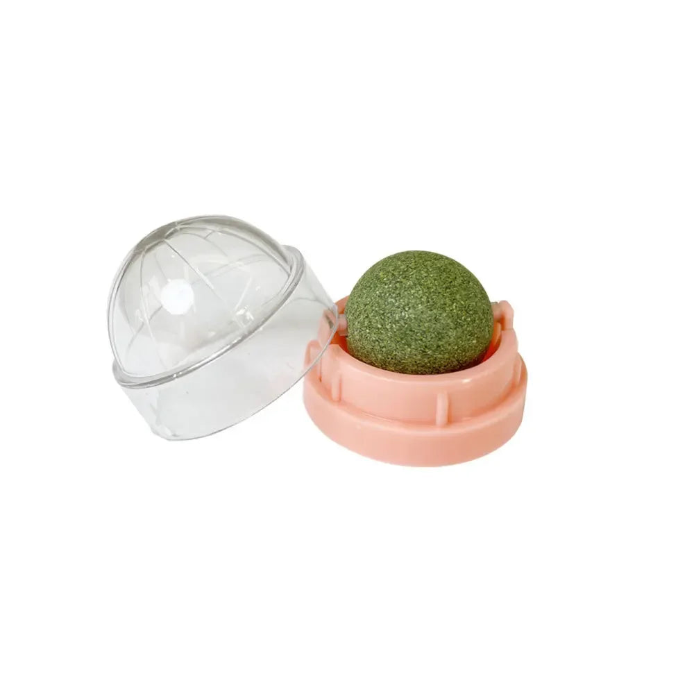 Natural Catnip Wall Scratcher & Treat Ball for Cats