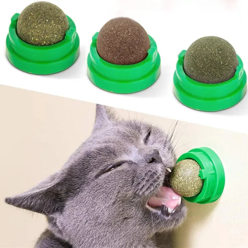 Natural Catnip Wall Scratcher & Treat Ball for Cats