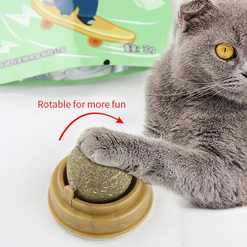 Natural Catnip Wall Scratcher & Treat Ball for Cats