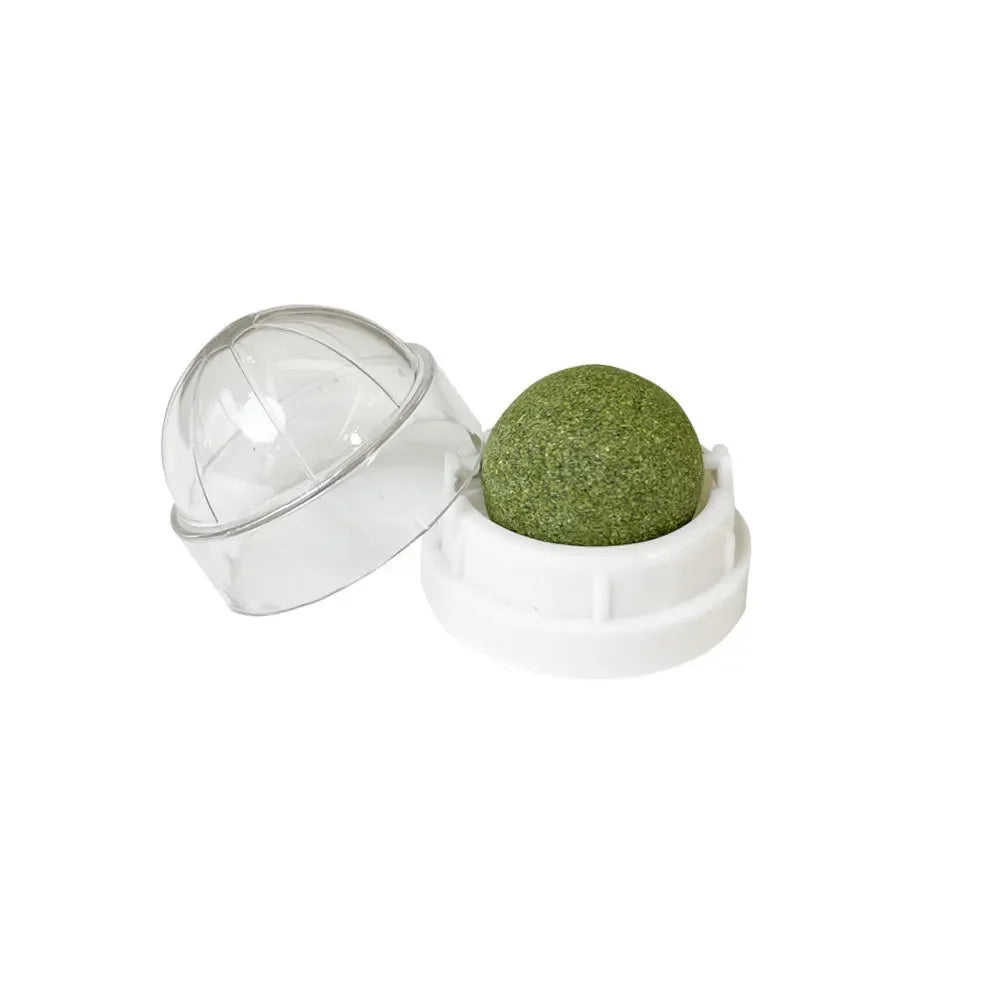 Natural Catnip Wall Scratcher & Treat Ball for Cats