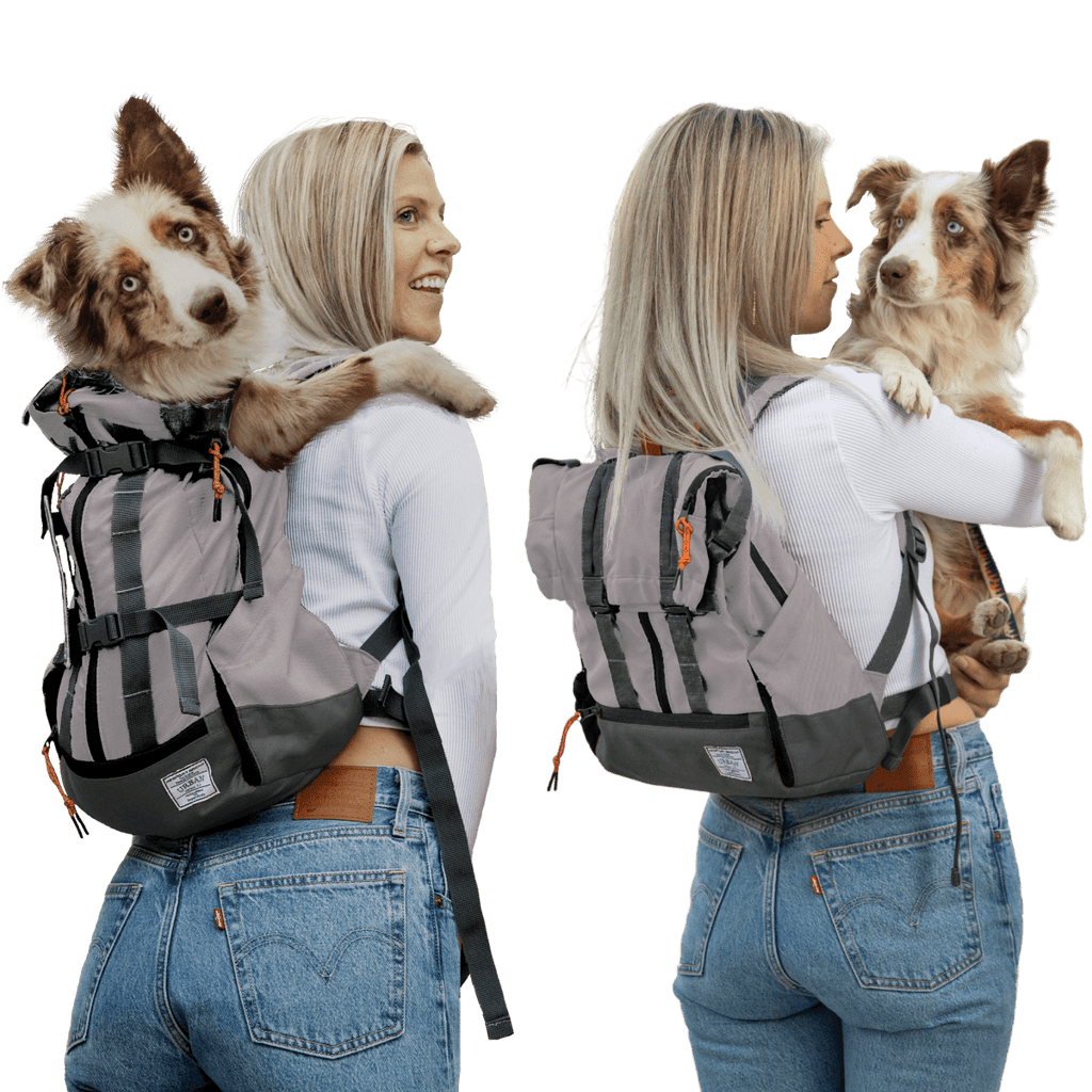 Klearance Urban 3 | Dual Use Dog Carrier & Traditional Backpack