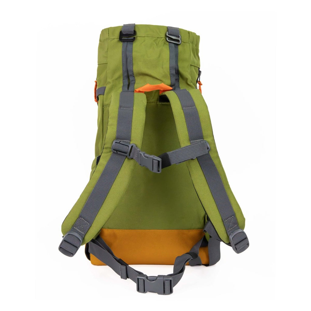 Urban 3 | Dual Use Dog Carrier & Traditional Backpack
