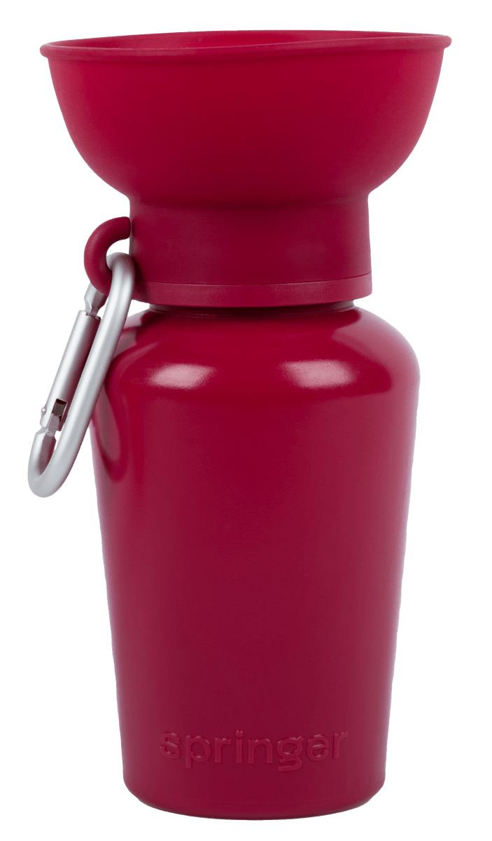 Springer® 20 ounce Flip Dog Travel Water Bottle